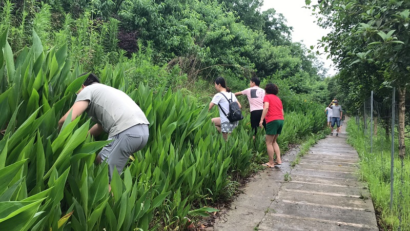 骨干员工第一次团建活动简讯