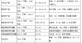 2025中国汽车行业总结