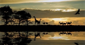 “尼好”，第34个框架协定！