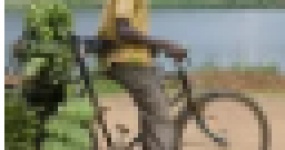 被低估的非洲市场！马里下一个二手车出口蓝海市场