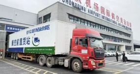 九载深耕 重庆自贸试验区以“小身板”撬动大开放