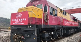 西部陆海新通道再拓展，助力“渝车”出海北非