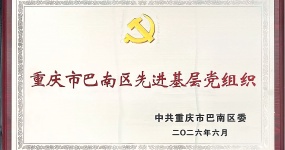 喜报｜党建引领结硕果 砥砺奋进谱新篇 —— 热烈祝贺我司党支部荣获 “巴南区先进基层党组织” 称号
