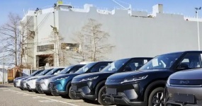 中国品牌几乎包揽阿根廷纯电汽车市场