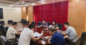 民建巴南区委会专题调研二手乘用车市场