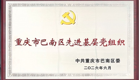 喜报｜党建引领结硕果 砥砺奋进谱新篇 —— 热烈祝贺我司党支部荣获 “巴南区先进基层党组织” 称号